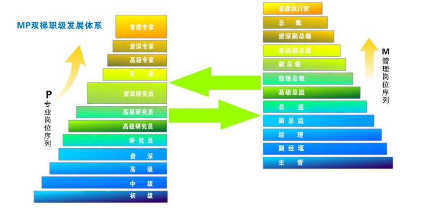 双职级